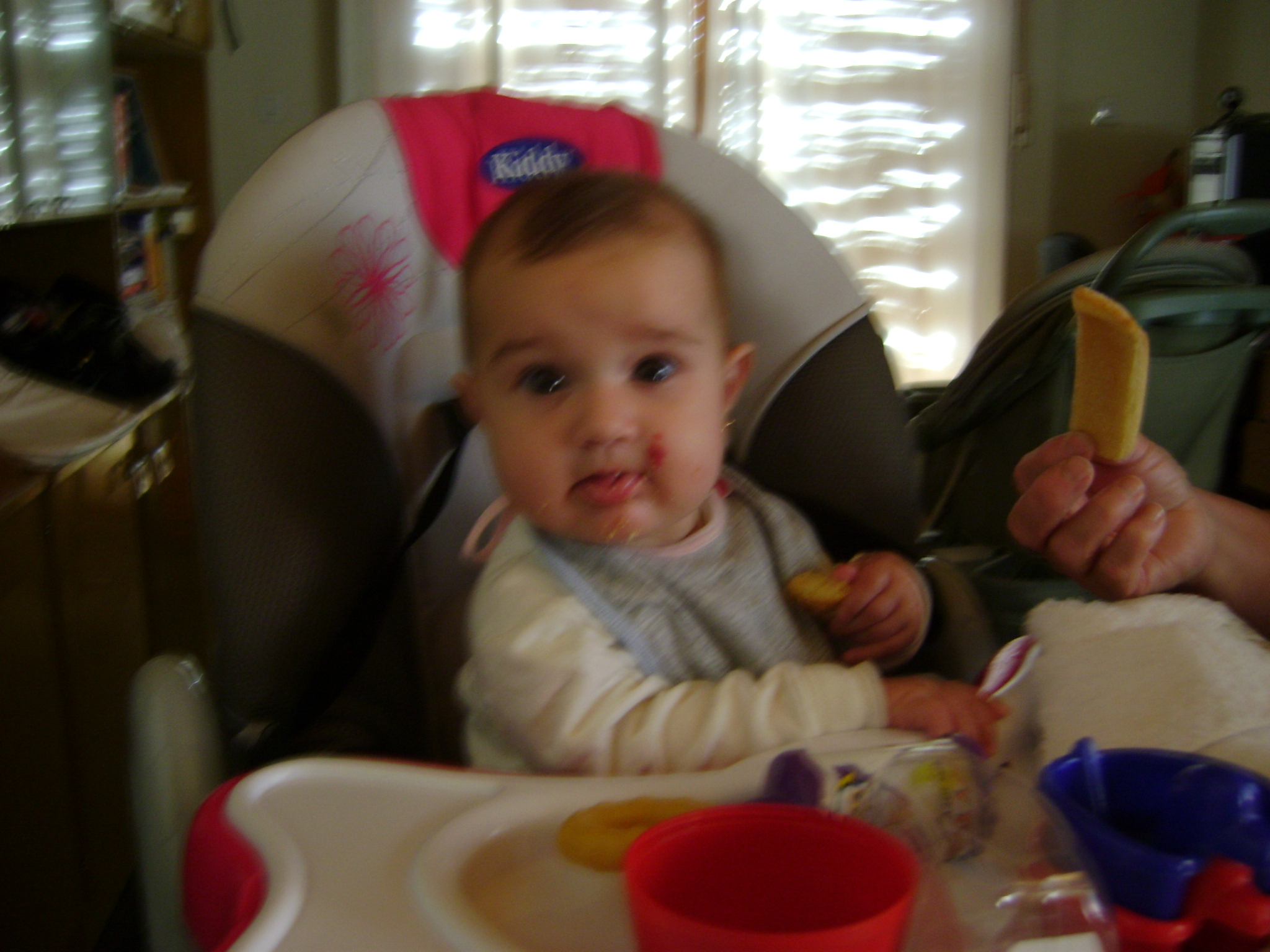 fotos/2010-12-08 - Iara bici y pileta/DSC03024.JPG